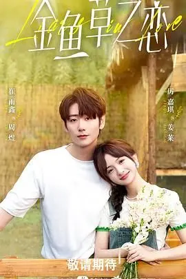 无法抗拒的谎言 海报