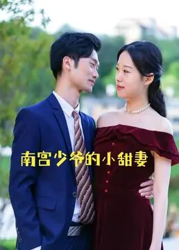 南宫少爷的小甜妻 海报